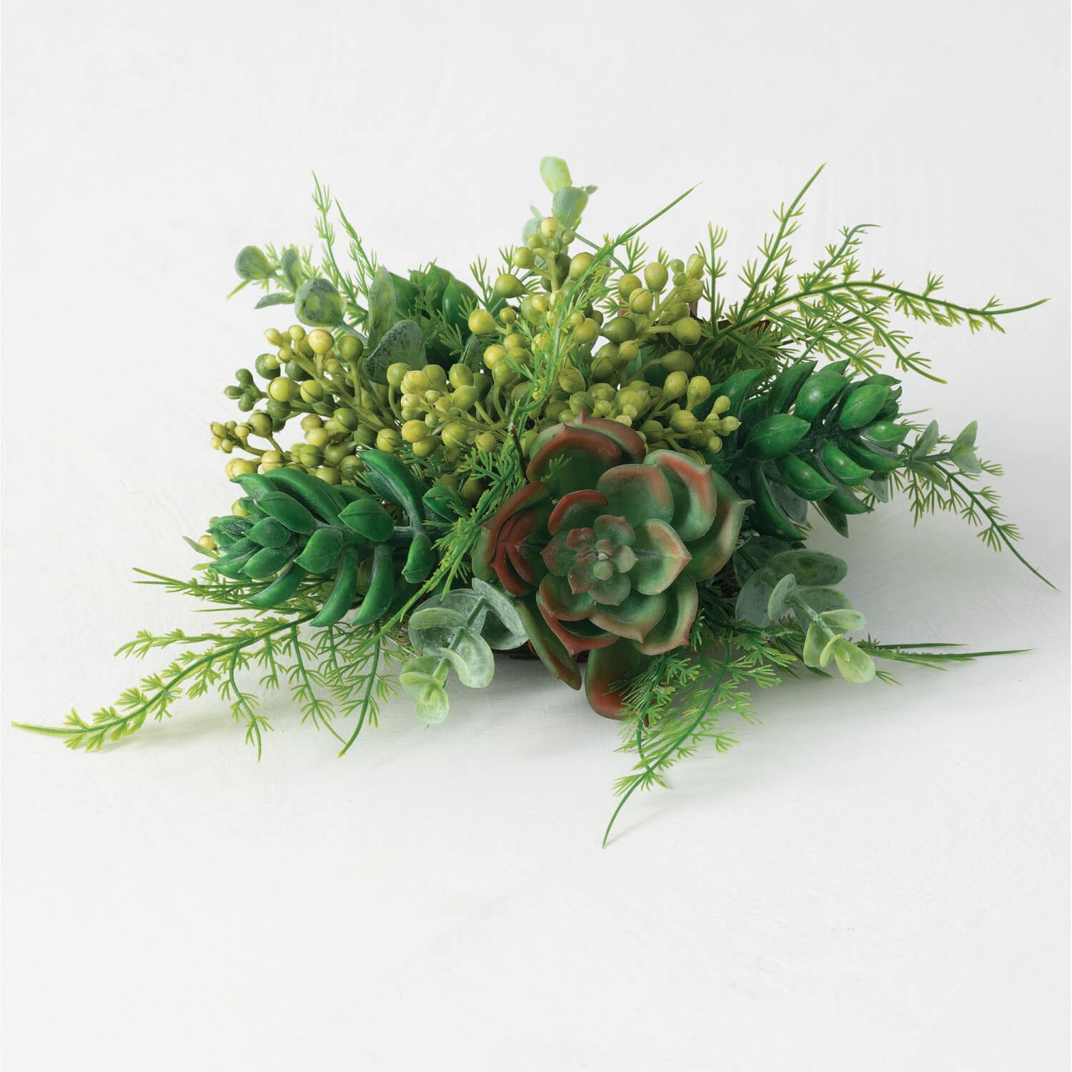 Succulent 1/2  orb - Zinnias Gift Boutique