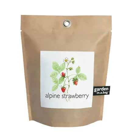 Garden in a Bag | Strawberry - Zinnias Gift Boutique