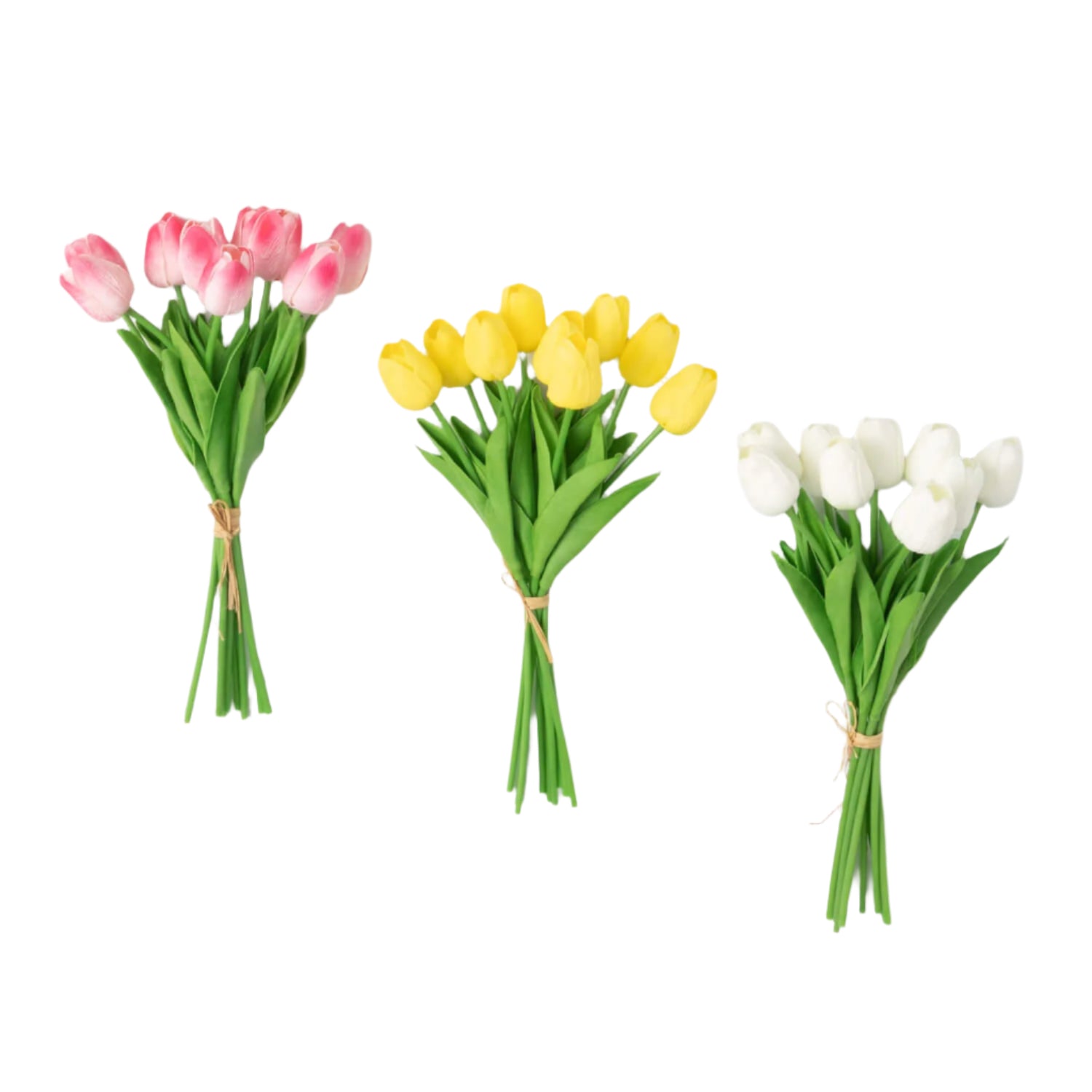 Tulip Bundle - Zinnias Gift Boutique