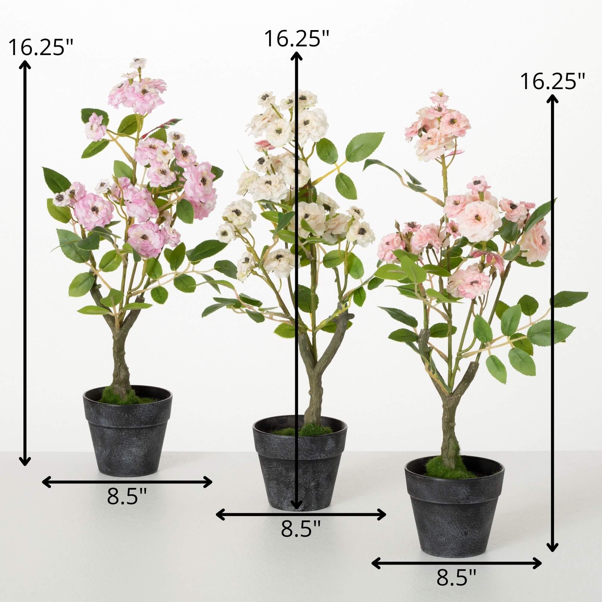 MINI ROSE BUSH - Zinnias Gift Boutique