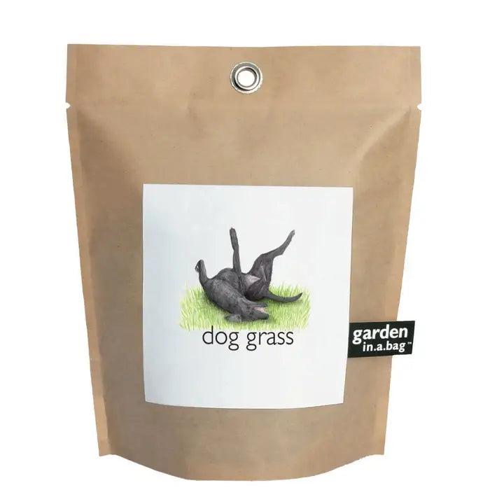 Garden in a Bag | Dog Grass - Zinnias Gift Boutique