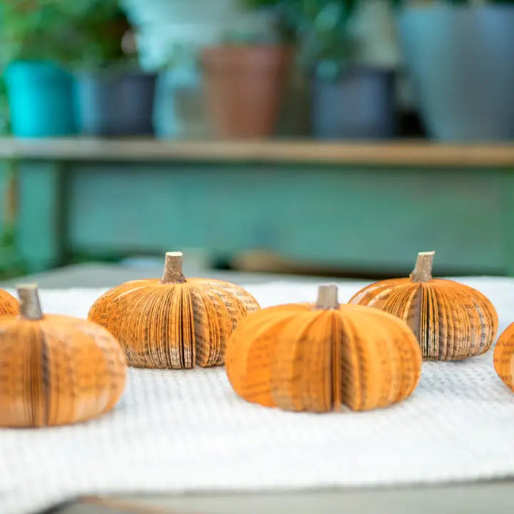 Upcycled Book Halloween Decor - Zinnias Gift Boutique