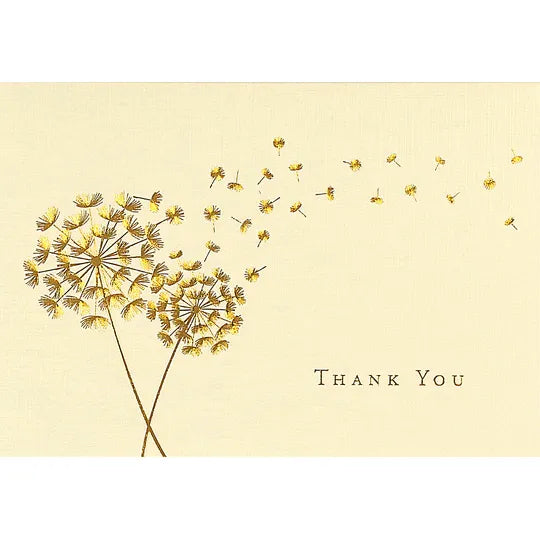 Note Cards Boxed - Zinnias Gift Boutique