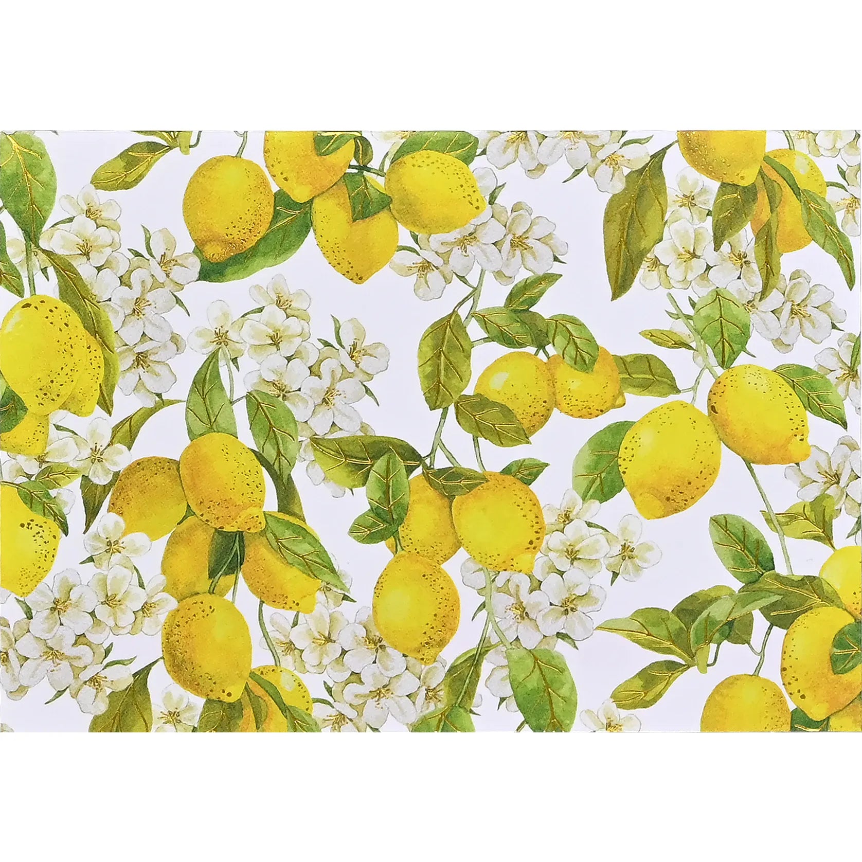 Note Cards Boxed - Zinnias Gift Boutique
