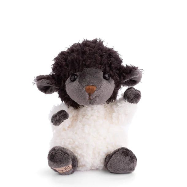 Black Sheep - Zinnias Gift Boutique