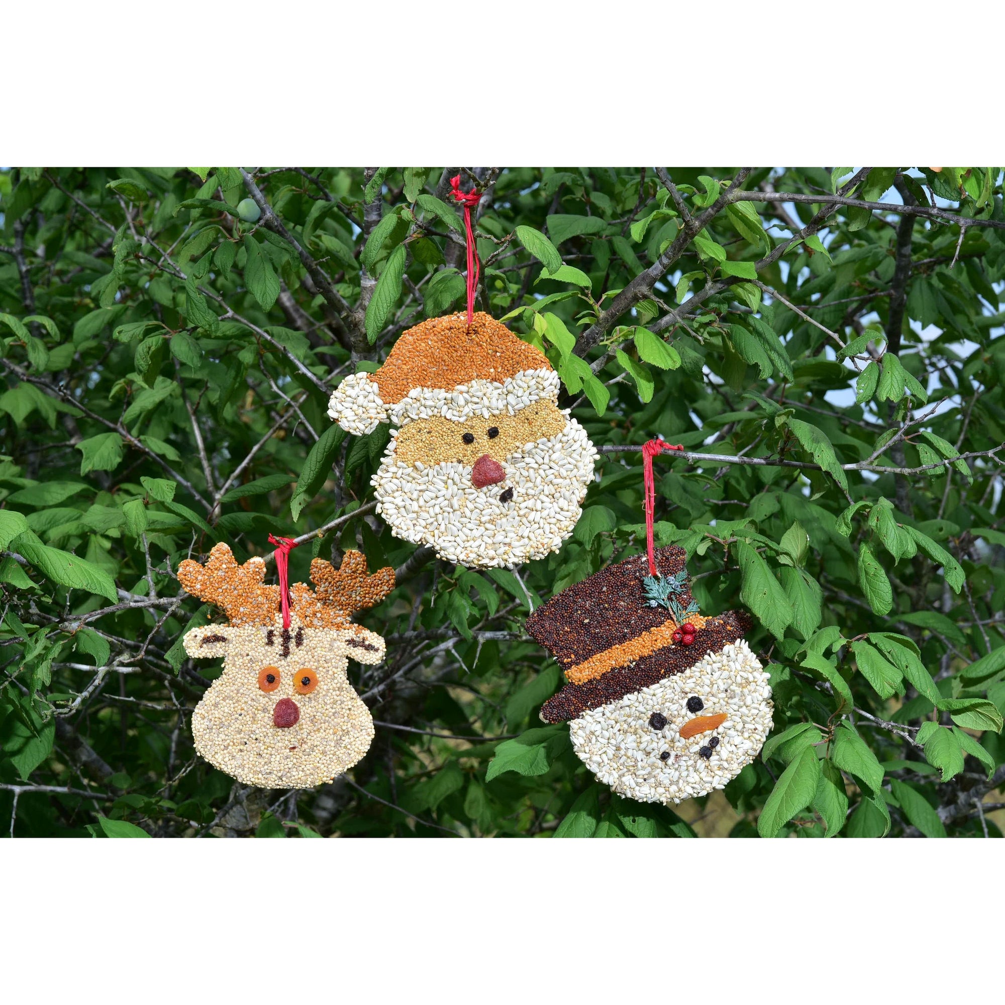 Christmas Cookie Assortment - Zinnias Gift Boutique
