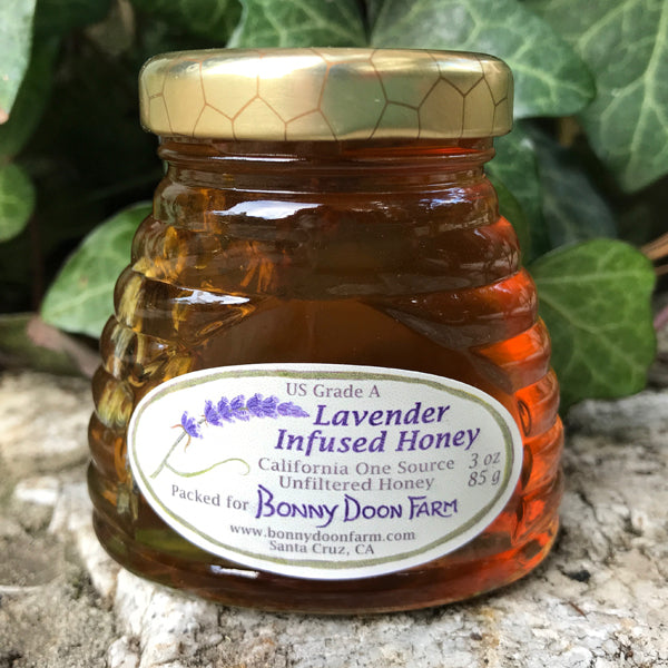 Lavender Infused Honey - Zinnias Gift Boutique