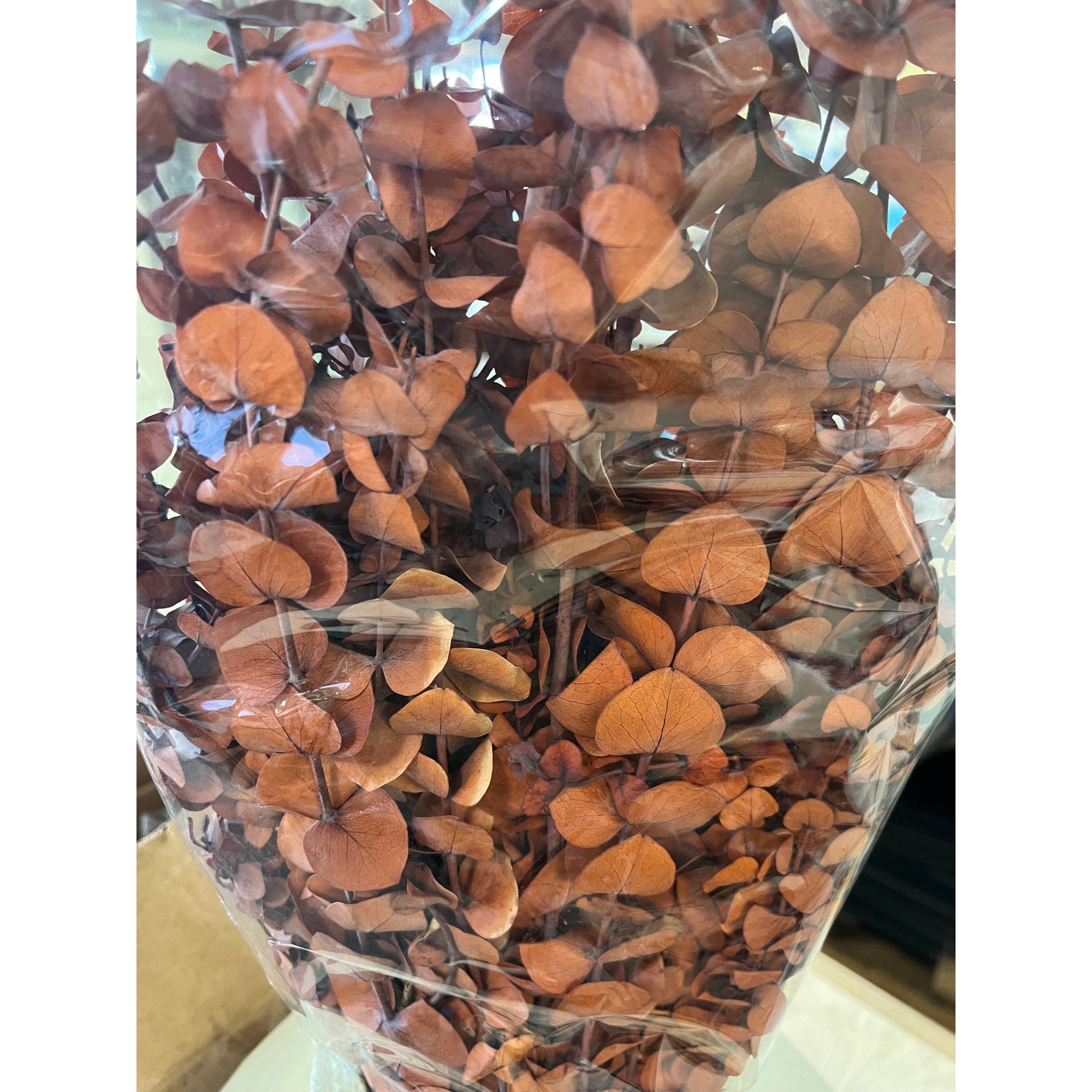 EUCALYPTUS ORANGE BUNCH - Zinnias Gift Boutique