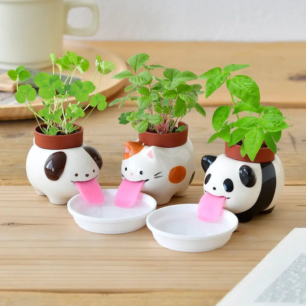 Self watering planter w/seeds - Zinnias Gift Boutique