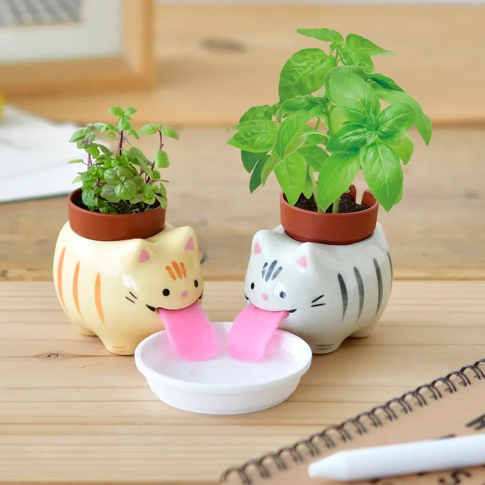 Self watering planter w/seeds - Zinnias Gift Boutique