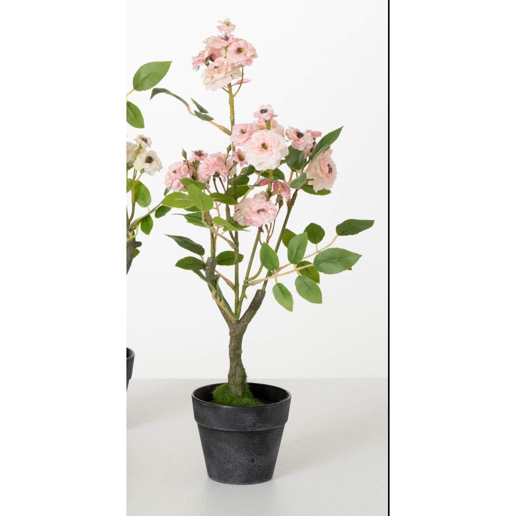 MINI ROSE BUSH - Zinnias Gift Boutique