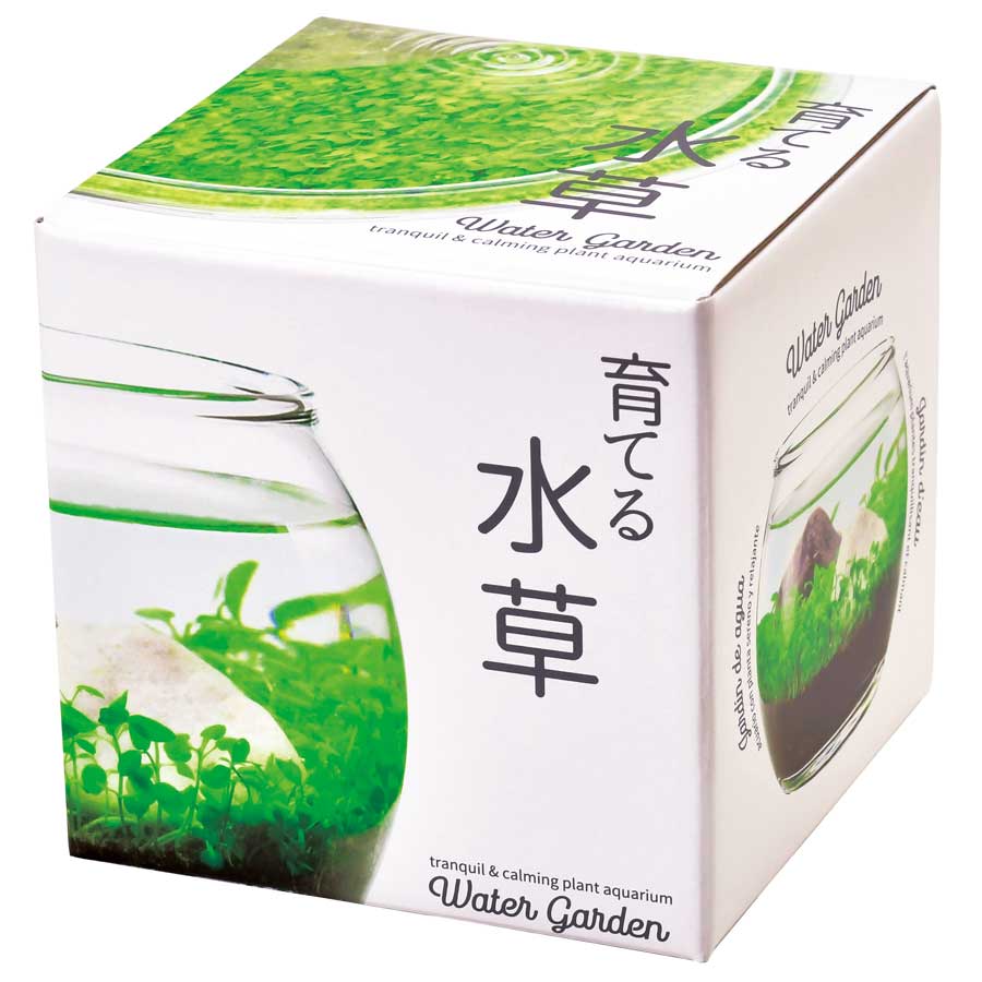 Watergarden - Zinnias Gift Boutique