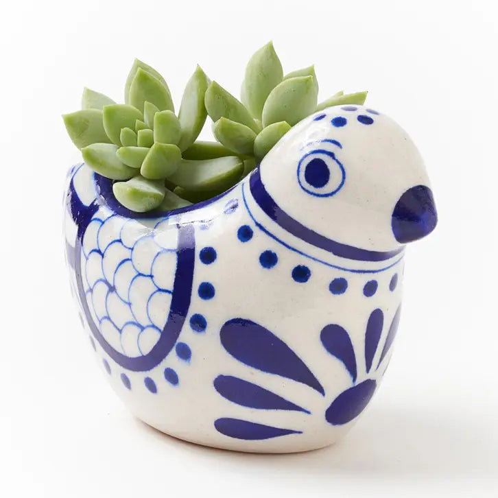 Bird Succulent Planter - Zinnias Gift Boutique