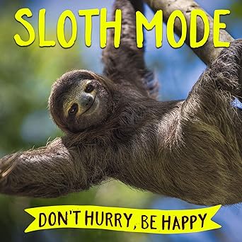 Cover image of "Sloth Mode: Don't Hurry, Be Happy" adult book by Book Publisher featuring a relaxed sloth illustration.