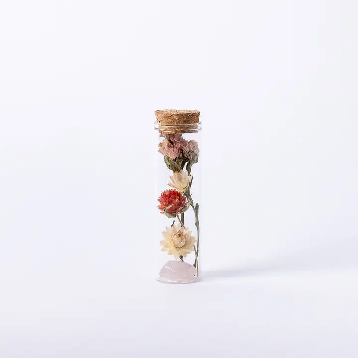 Dried Floral Herbarium Earth Vessel Rose Quartz - Zinnias Gift Boutique