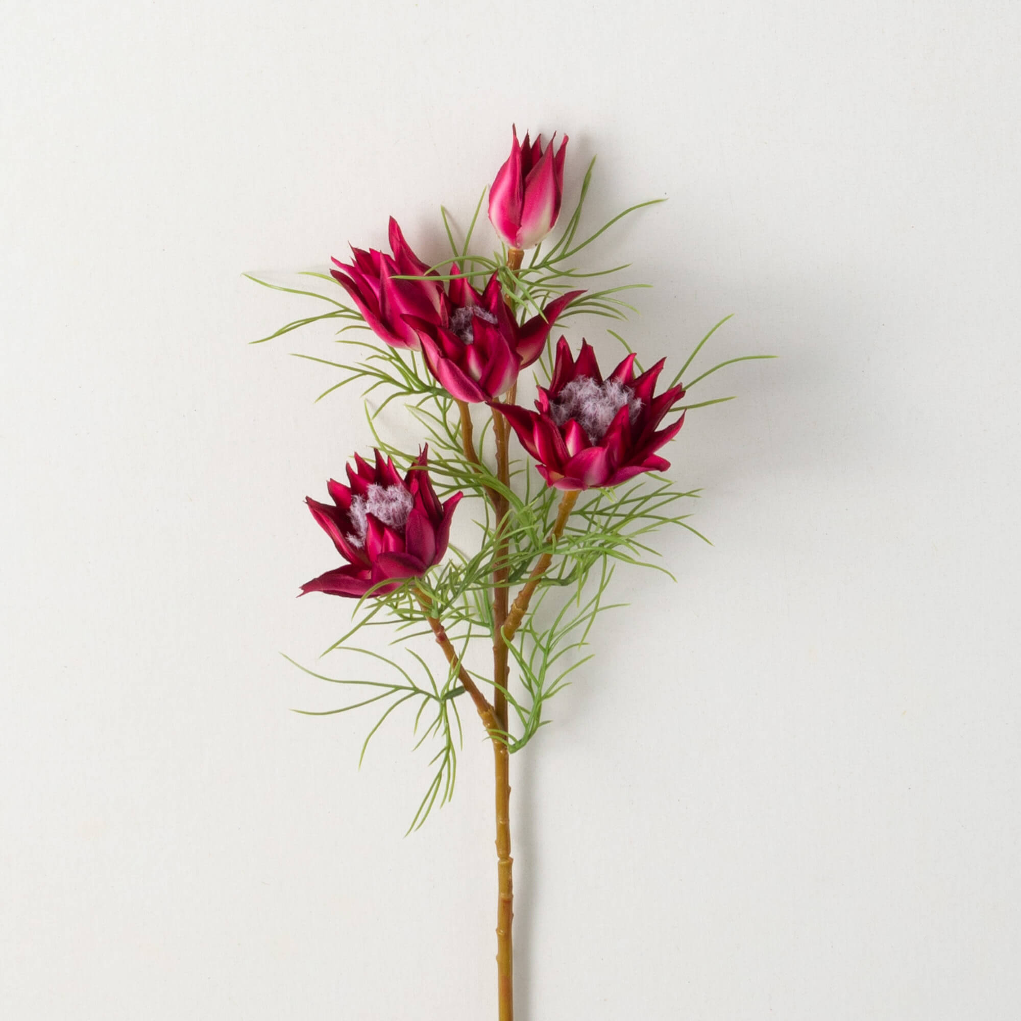 MINI PROTEA SPRAY - Zinnias Gift Boutique