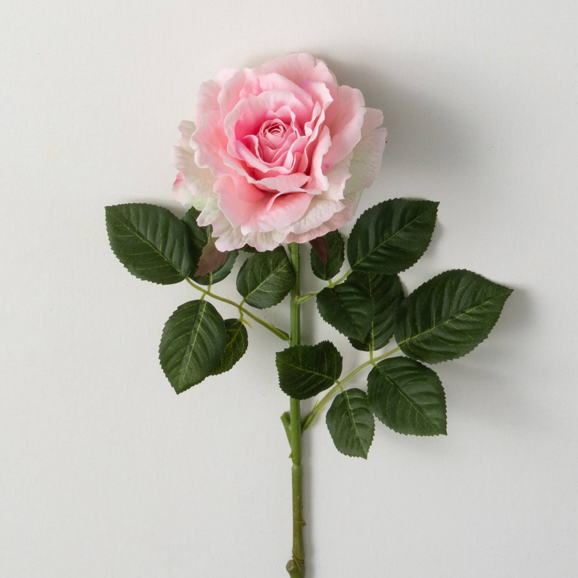 FRESHCUT PINK BLOOMING ROSE - Zinnias Gift Boutique