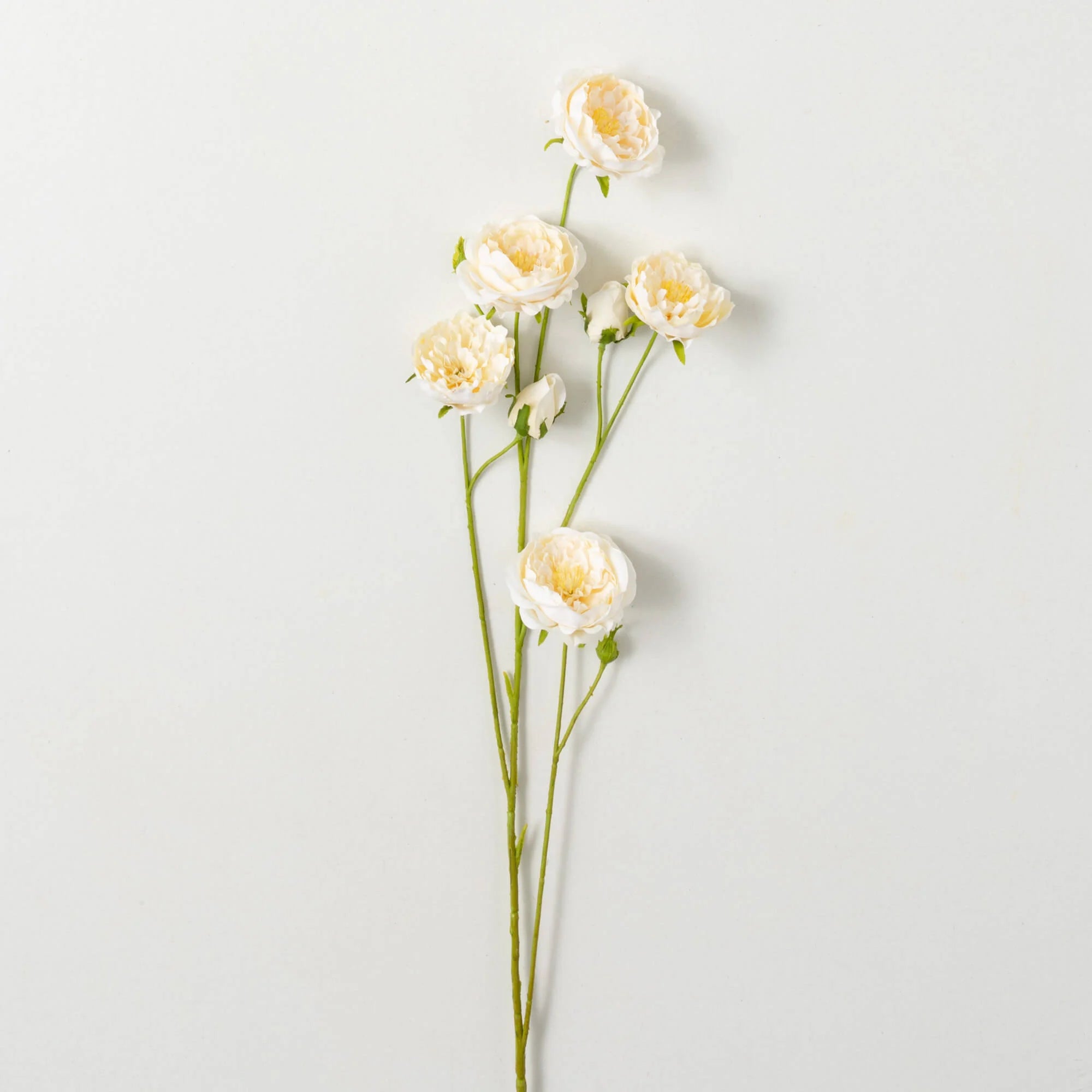 IVORY ROSE SPRAY - Zinnias Gift Boutique