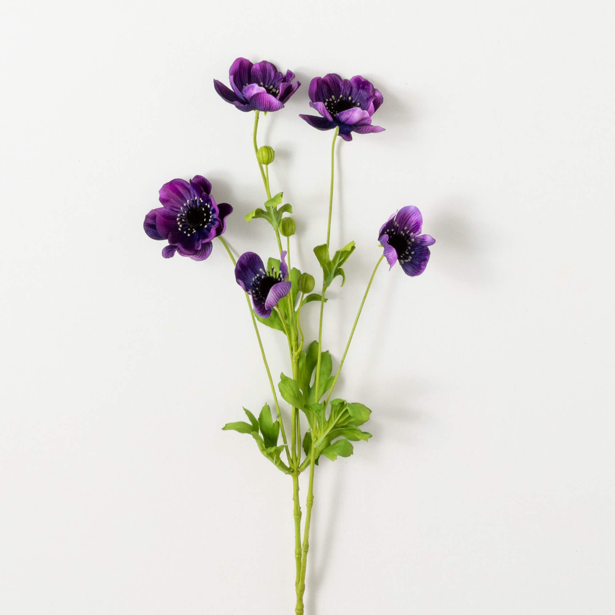 PLUM ANEMONE SPRAY - Zinnias Gift Boutique