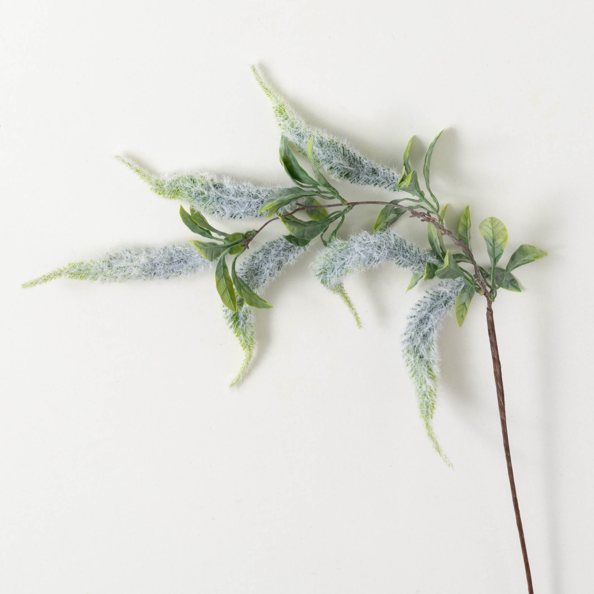 WHITE AMARANTHUS SPRAY - Zinnias Gift Boutique