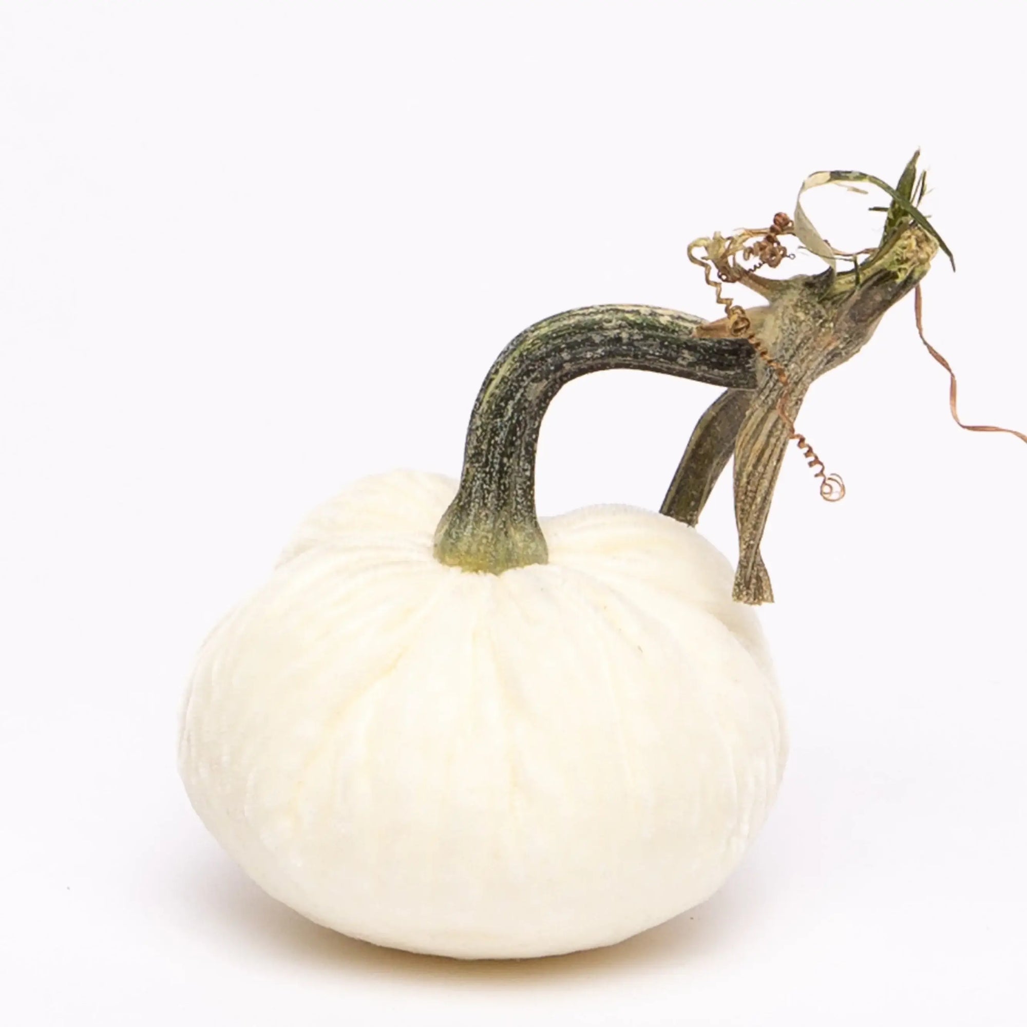 Silk/Vel Pumpkin Artisan - Zinnias Gift Boutique
