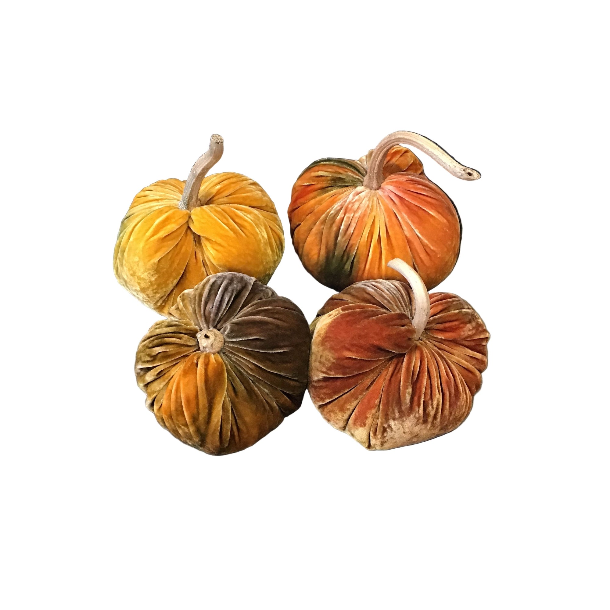 Velvet Posh Pumpkins 2025 - Zinnias Gift Boutique