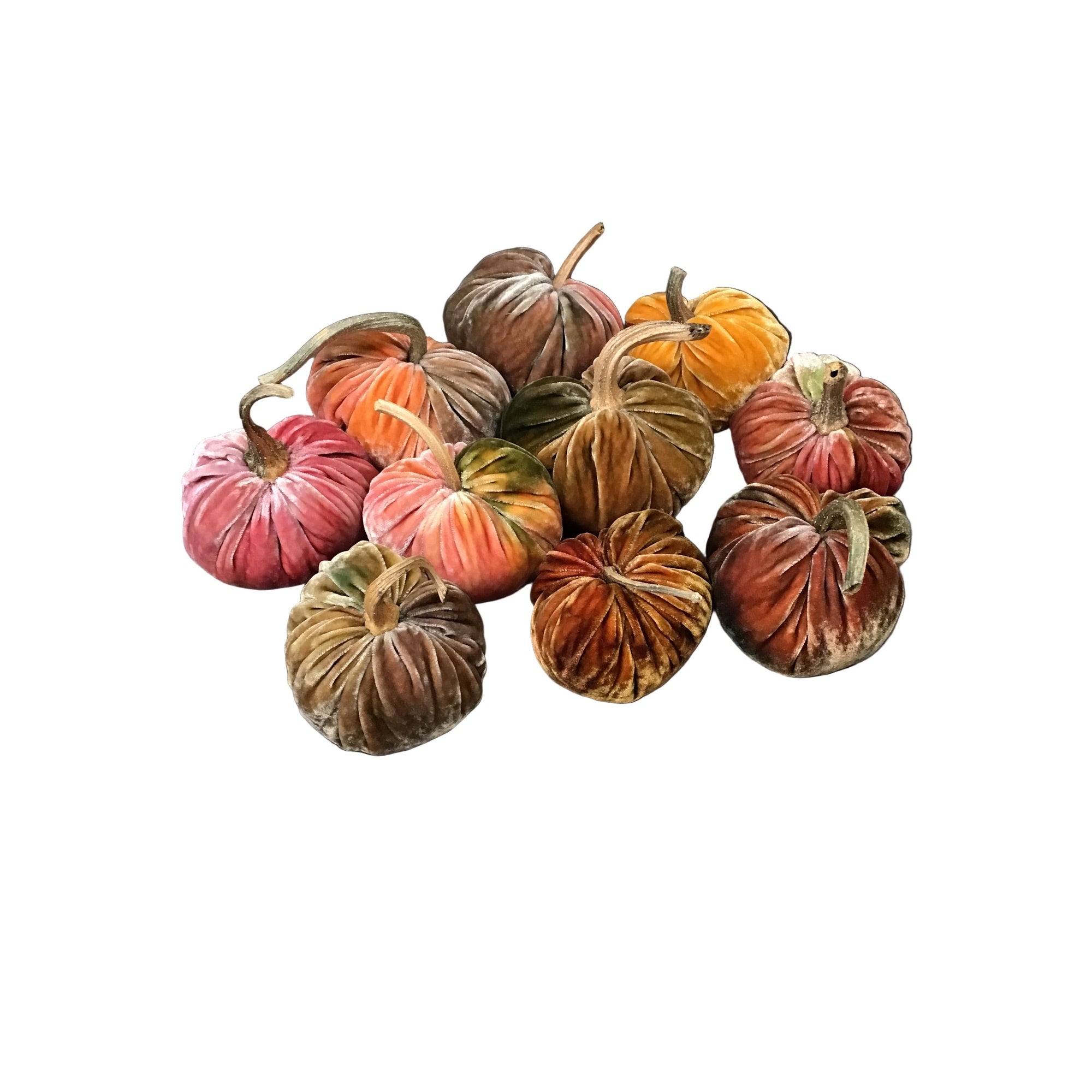 Velvet Posh Pumpkins 2025 - Zinnias Gift Boutique
