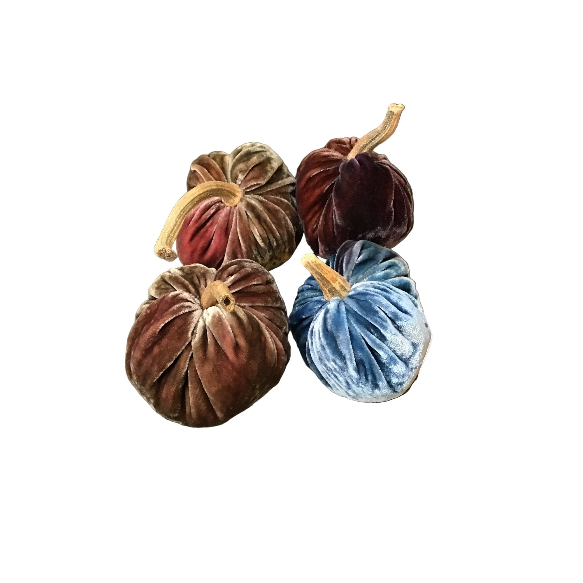 Velvet Posh Pumpkins 2025 - Zinnias Gift Boutique