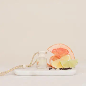Car Diffuser - Zinnias Gift Boutique