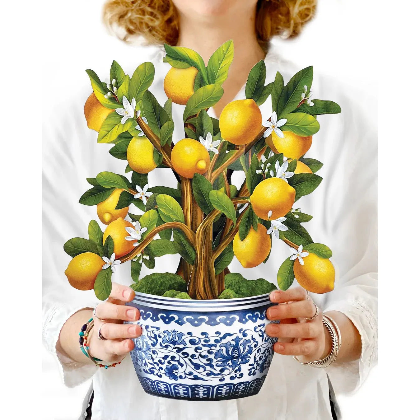 Lemon Blossom Tree - Zinnias Gift Boutique