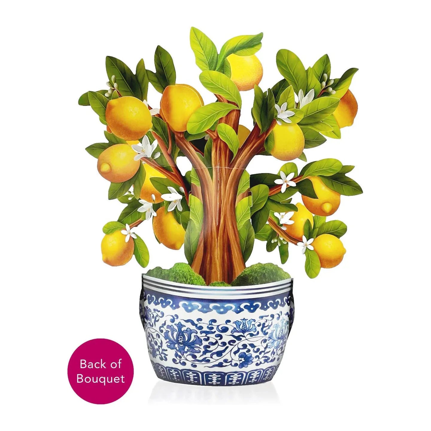 Lemon Blossom Tree - Zinnias Gift Boutique