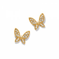 Enchanting Butterfly Post Earring Gold - Zinnias Gift Boutique