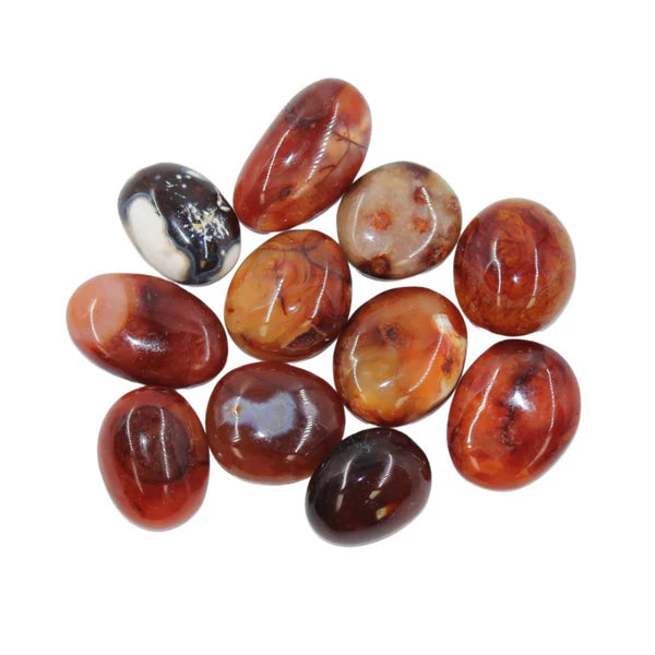 Palm Stone - Zinnias Gift Boutique
