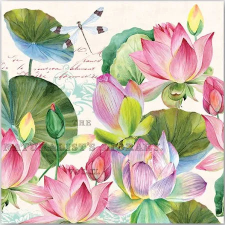 Water Lilies Luncheon Napkin - Zinnias Gift Boutique