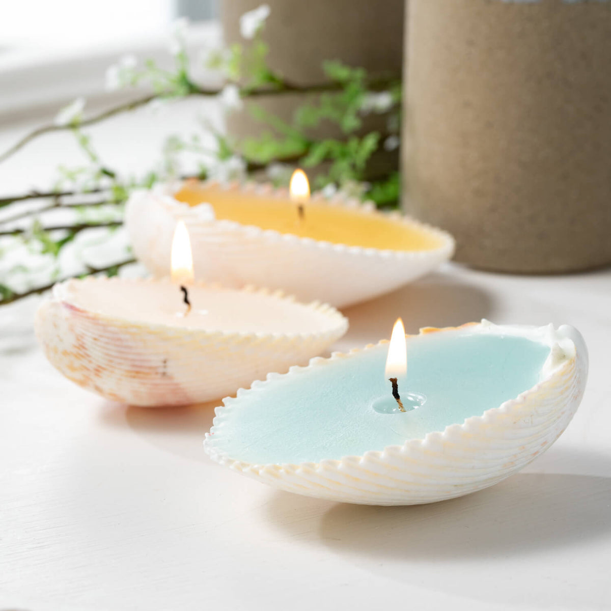 Shell Float Candle - Zinnias Gift Boutique