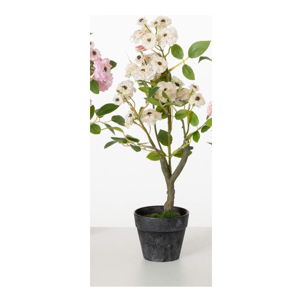 MINI ROSE BUSH - Zinnias Gift Boutique