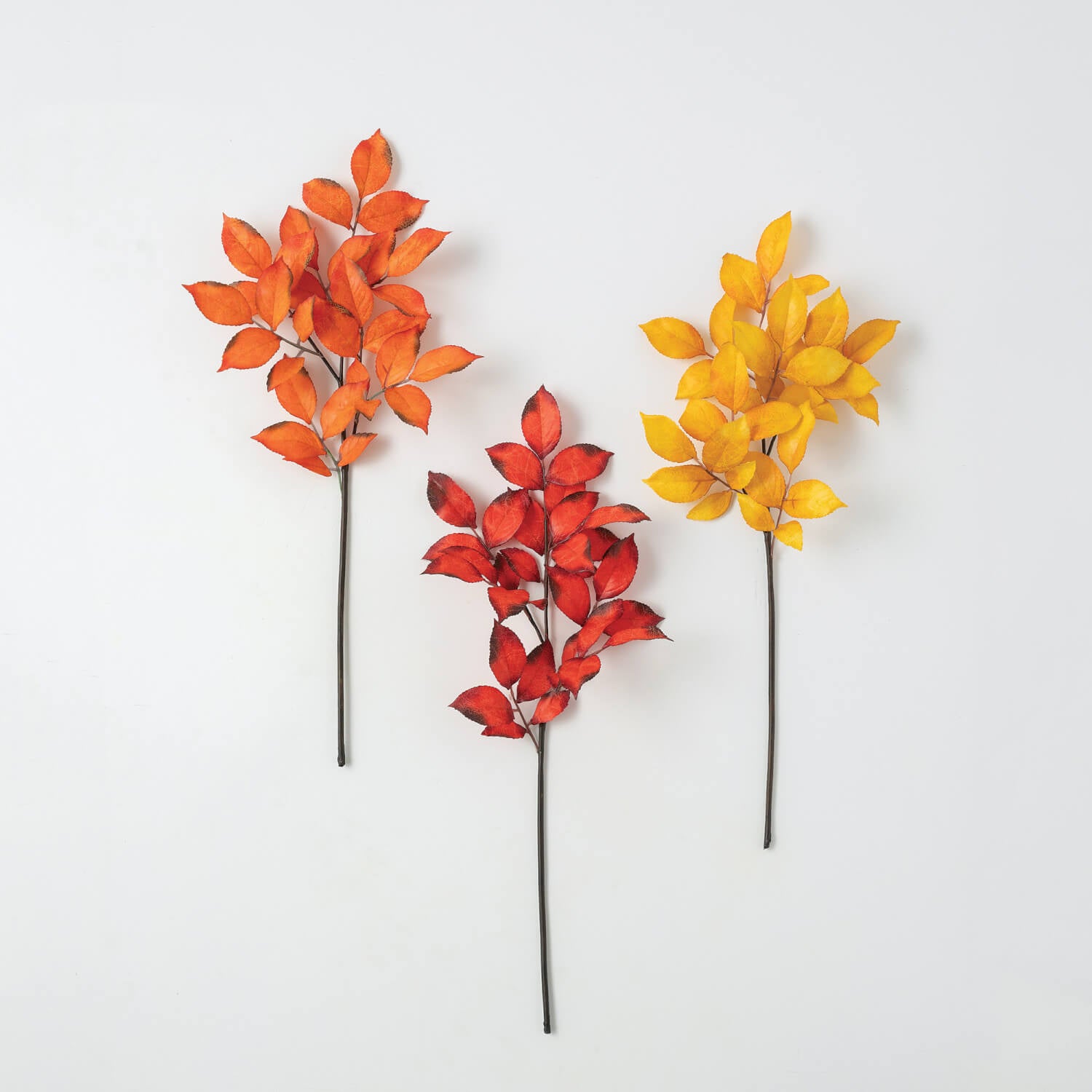 LEAVES SPRAYS - Zinnias Gift Boutique