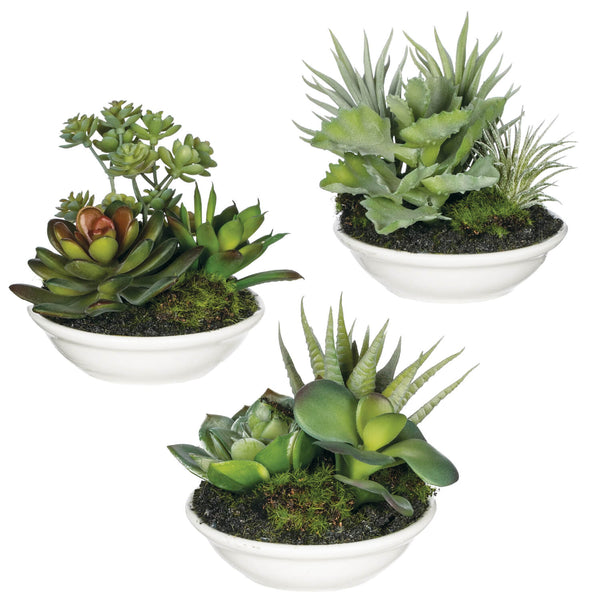small potted artificial succulents AEONIUM POTTED SUCCULENT