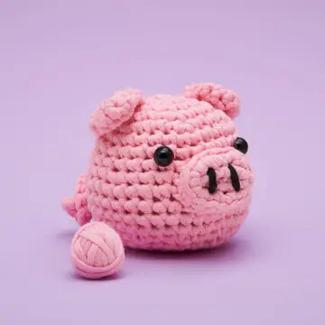 Beginner Crochet Kit - Zinnias Gift Boutique