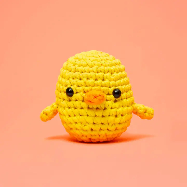 Beginner Crochet Kit - Zinnias Gift Boutique