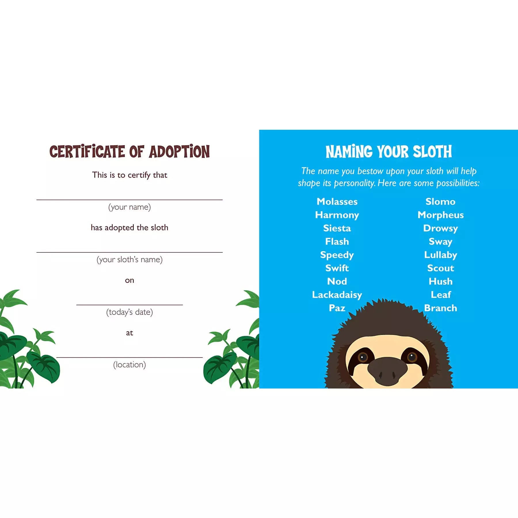 Hug a Sloth Kit - Zinnias Gift Boutique