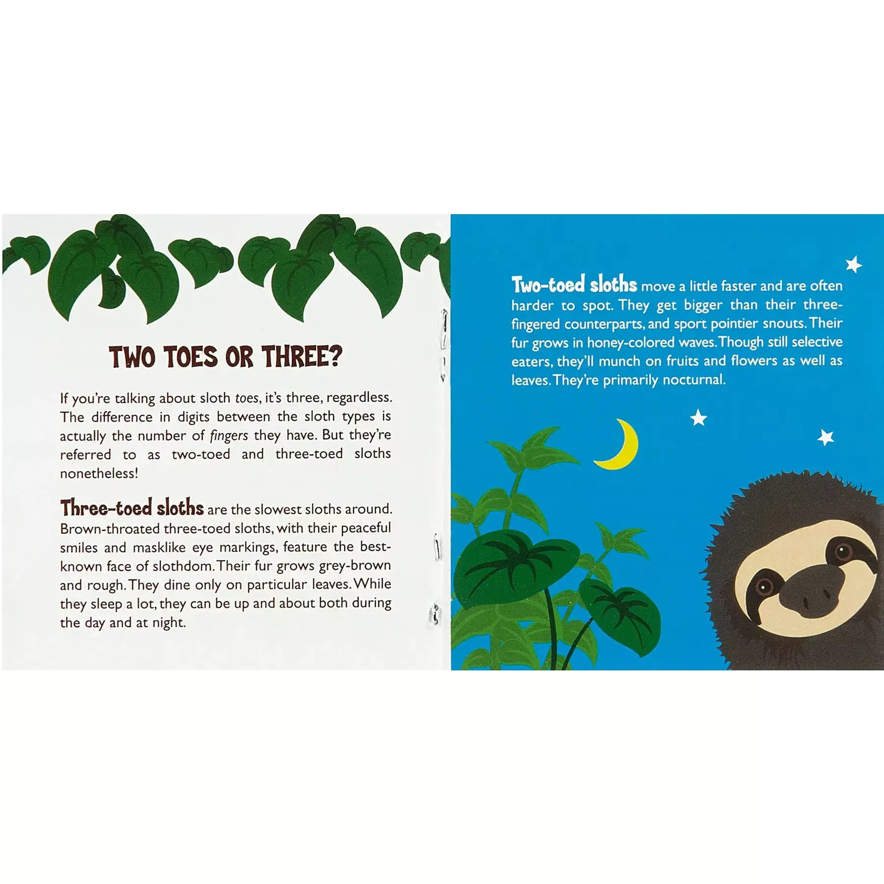 Hug a Sloth Kit - Zinnias Gift Boutique