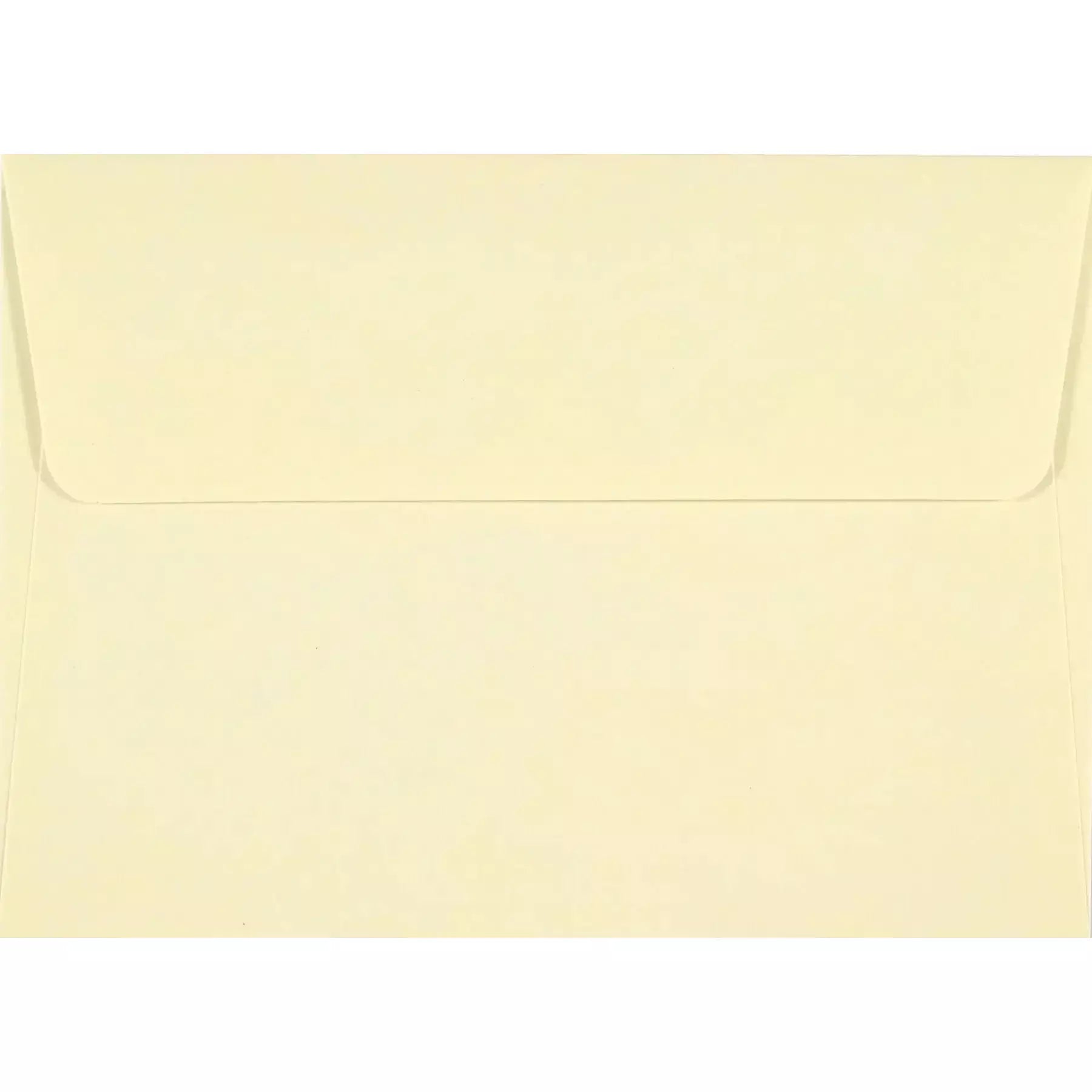 Dandelion Wishes Thank You Notes - Zinnias Gift Boutique