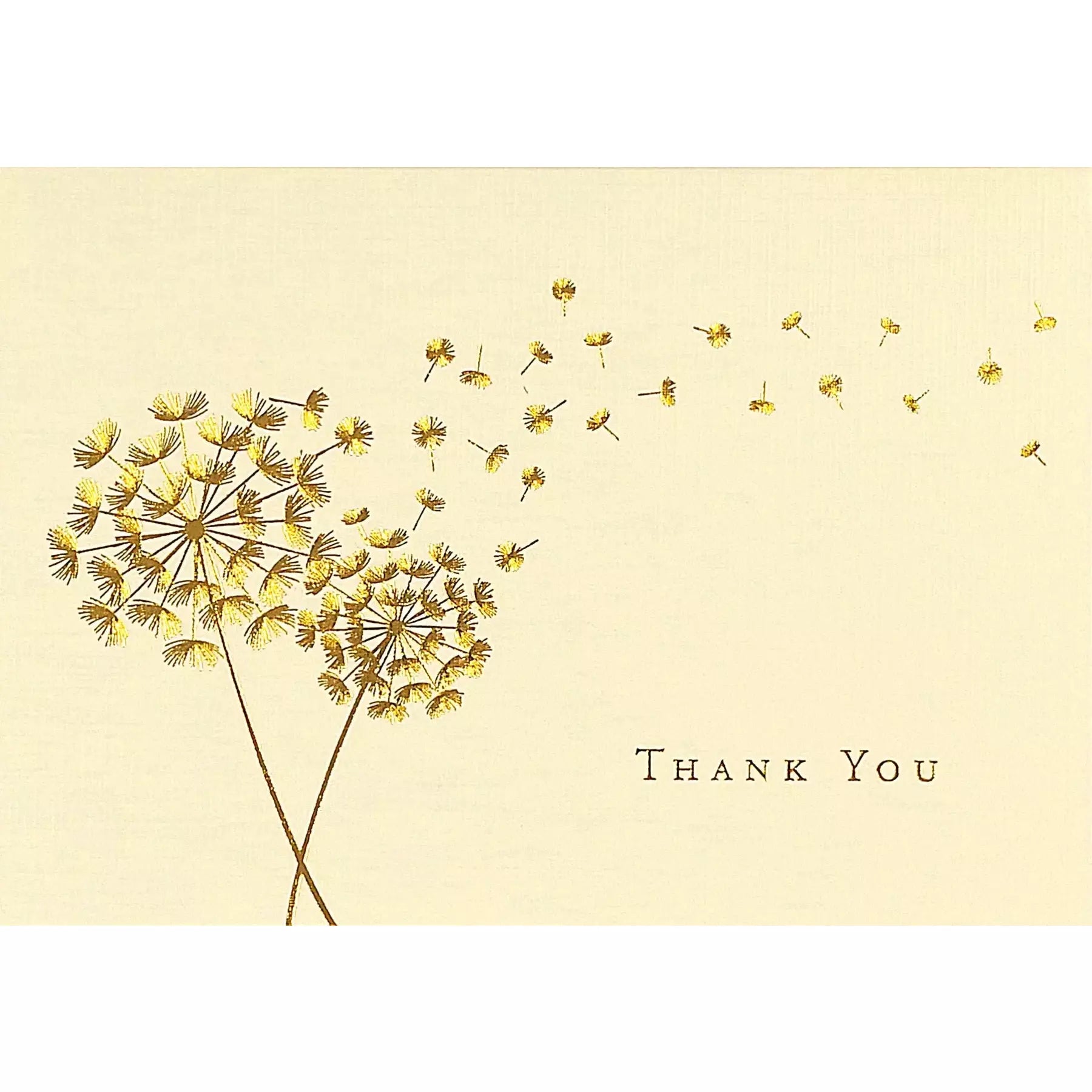 Dandelion Wishes Thank You Notes - Zinnias Gift Boutique