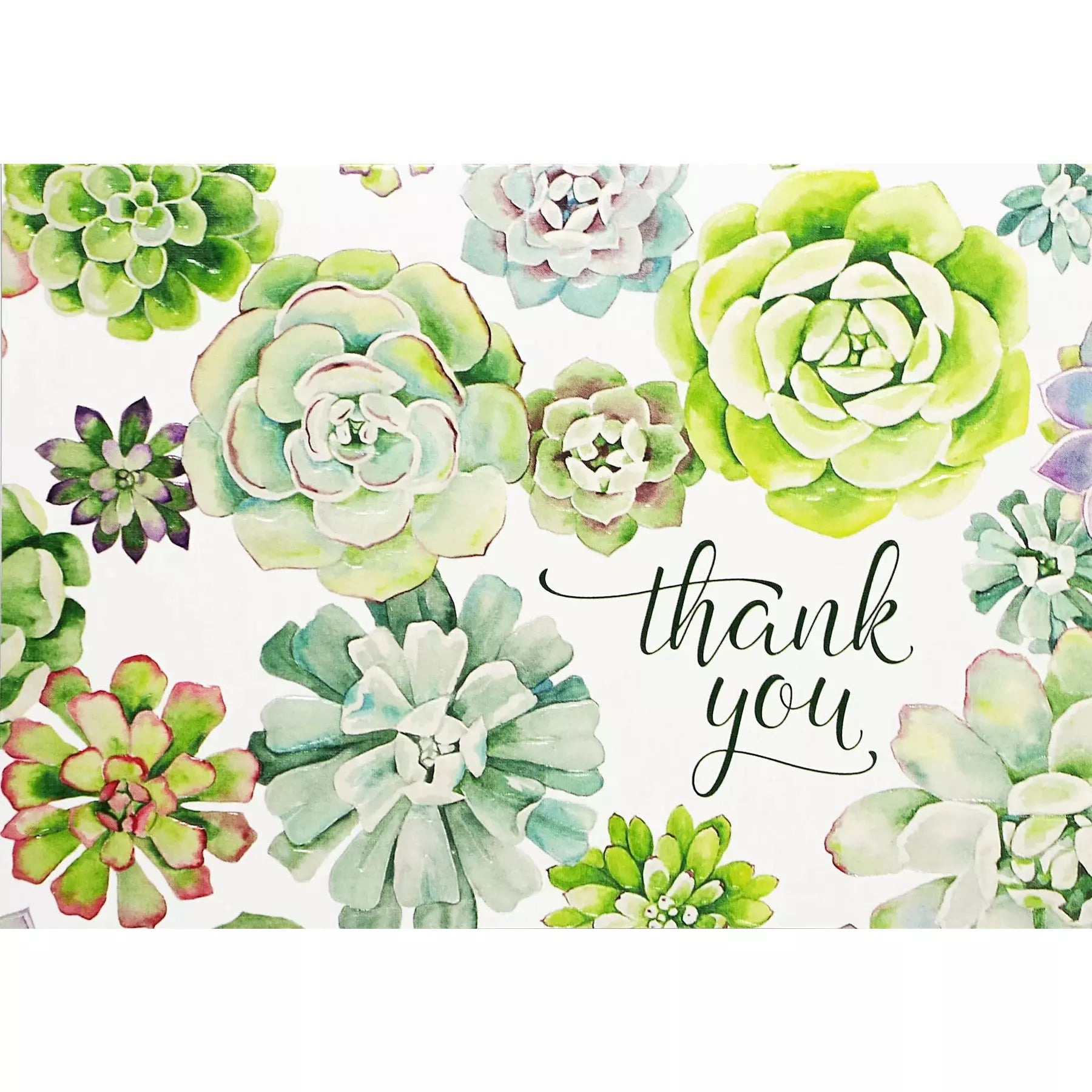 Succulent Garden Thank You Notes - Zinnias Gift Boutique