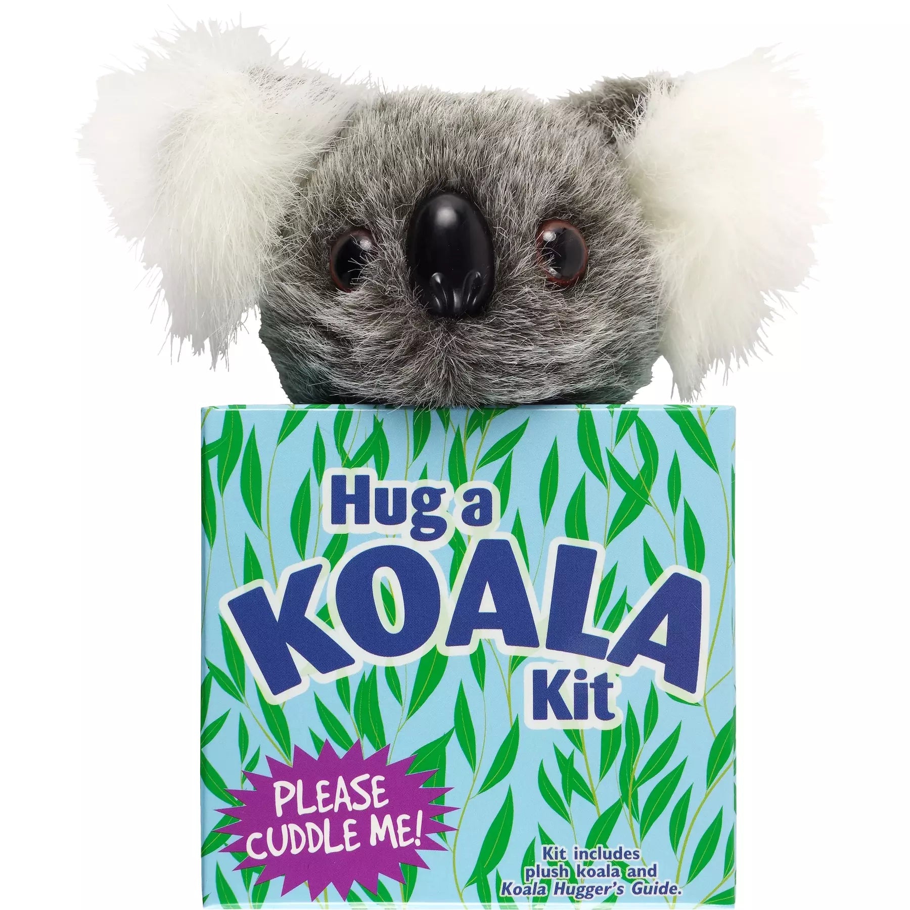 Hug a Koala Kit - Zinnias Gift Boutique