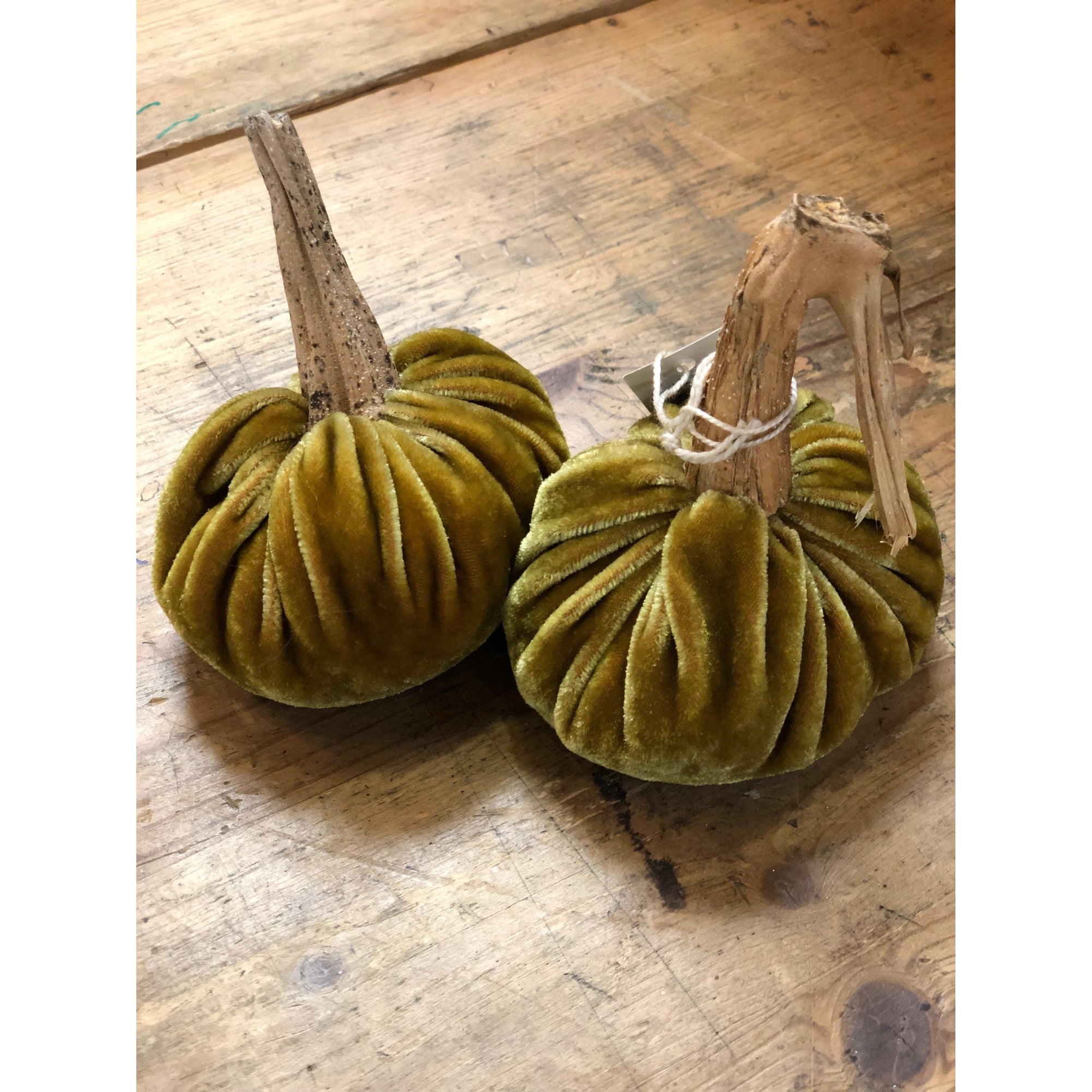 Velvet Pumpkins - Light Green - Zinnias Gift Boutique