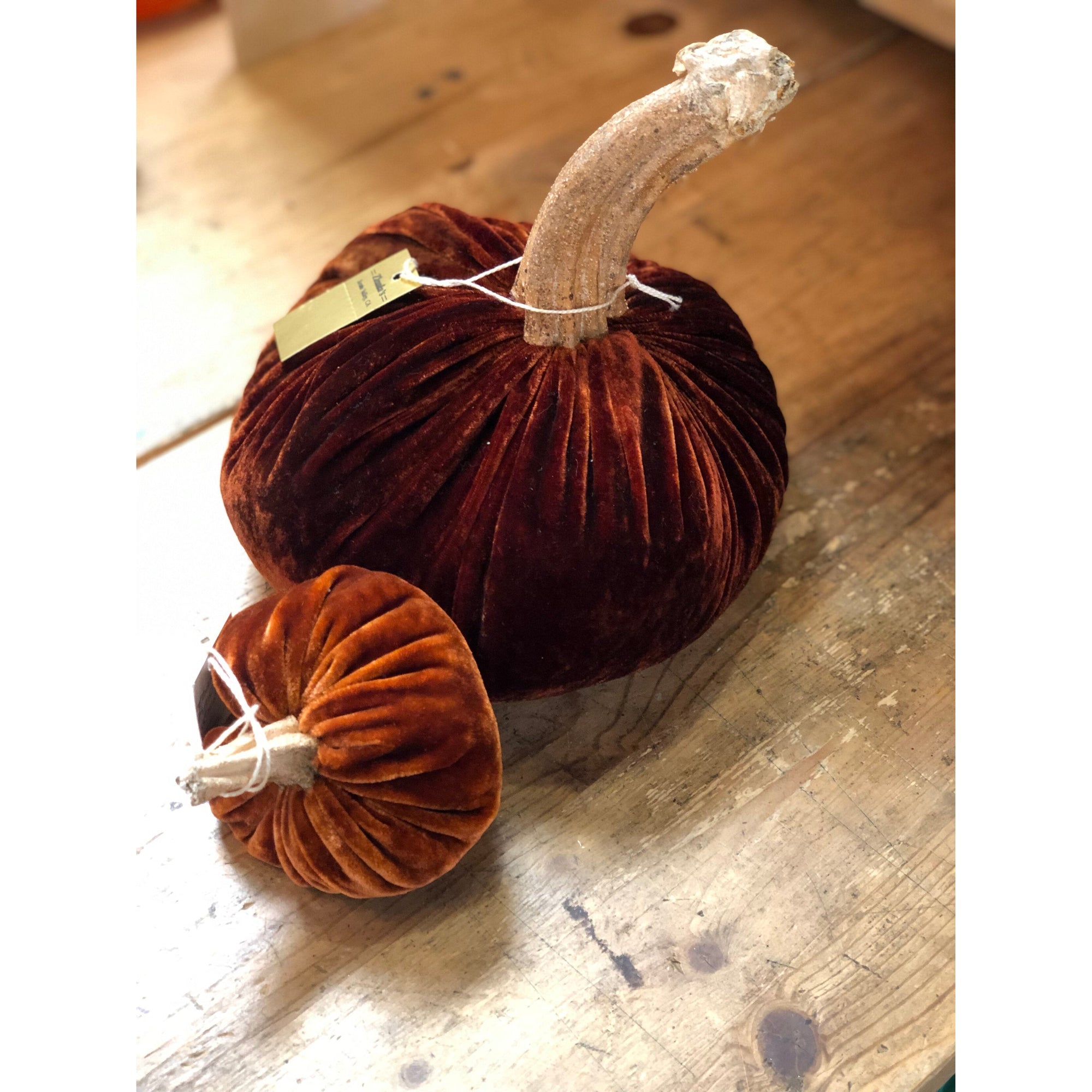 Velvet Pumpkins - Dark Orange - Zinnias Gift Boutique