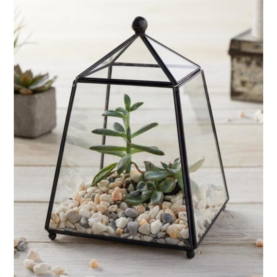 Geometric Terrarium - Zinnias Gift Boutique