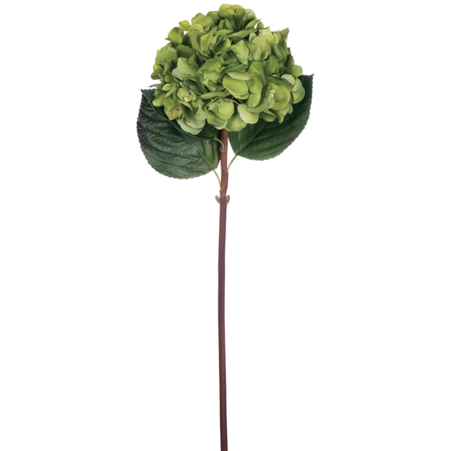 Hydrangea Stem - Zinnias Gift Boutique